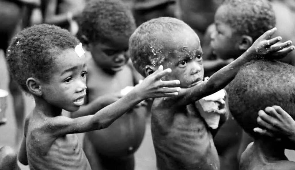 Global malnutrition